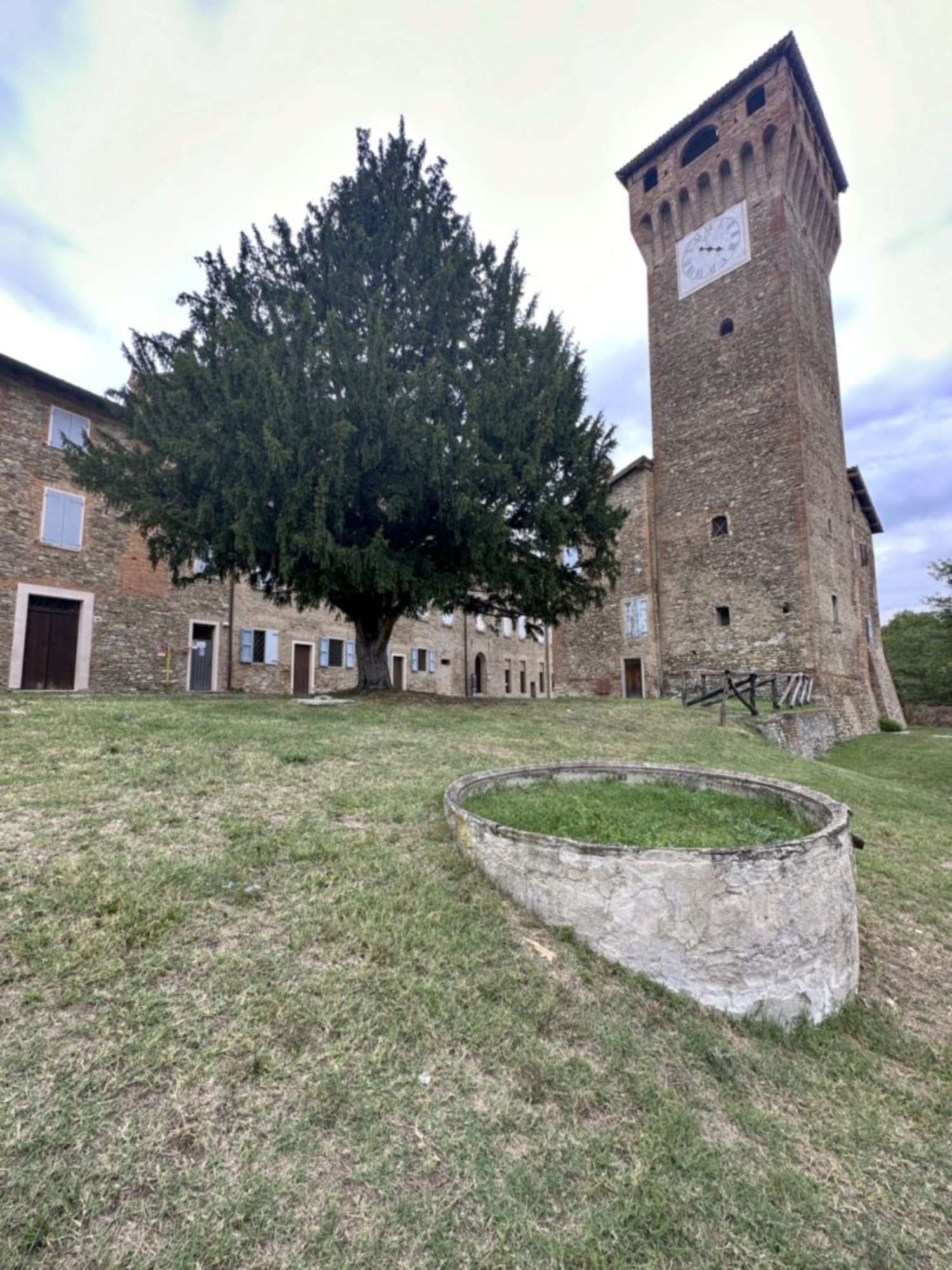 Tasso_Castelvetro di Modena_IMG_0126